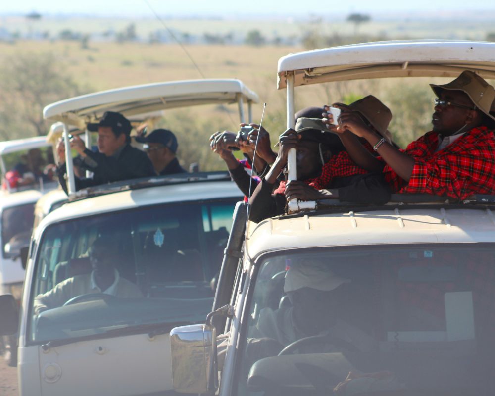 3-Day Masai Mara Camping Safari - The Wild Trails